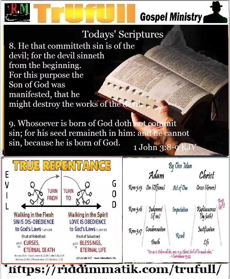 Fridays’ Scriptures 26/7/19