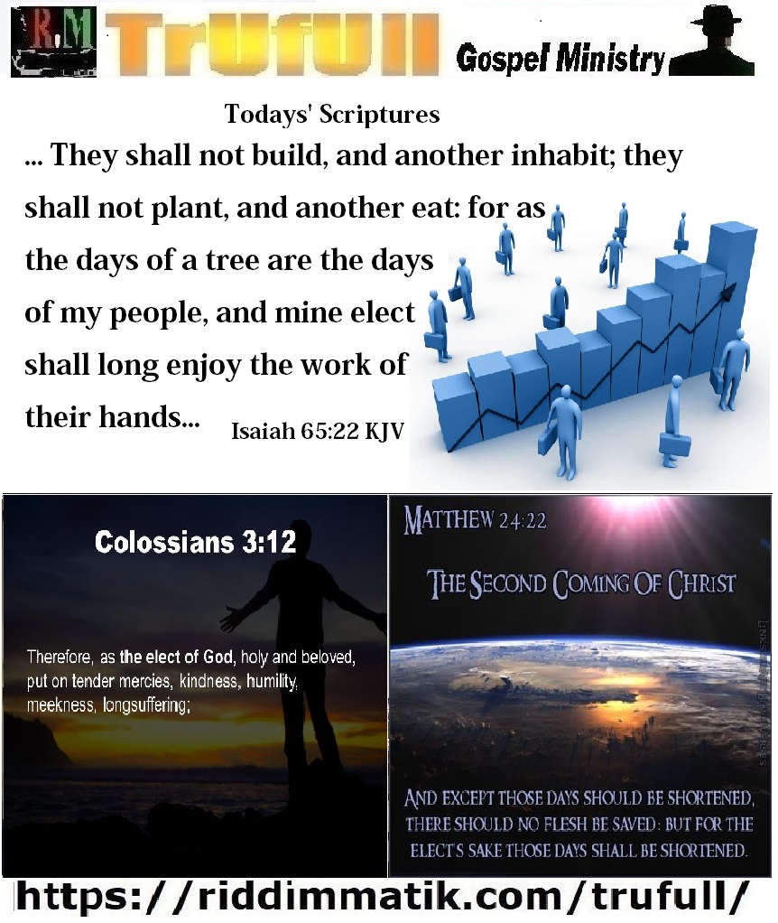 Wednesdays’ – Isaiah 65-22 KJV