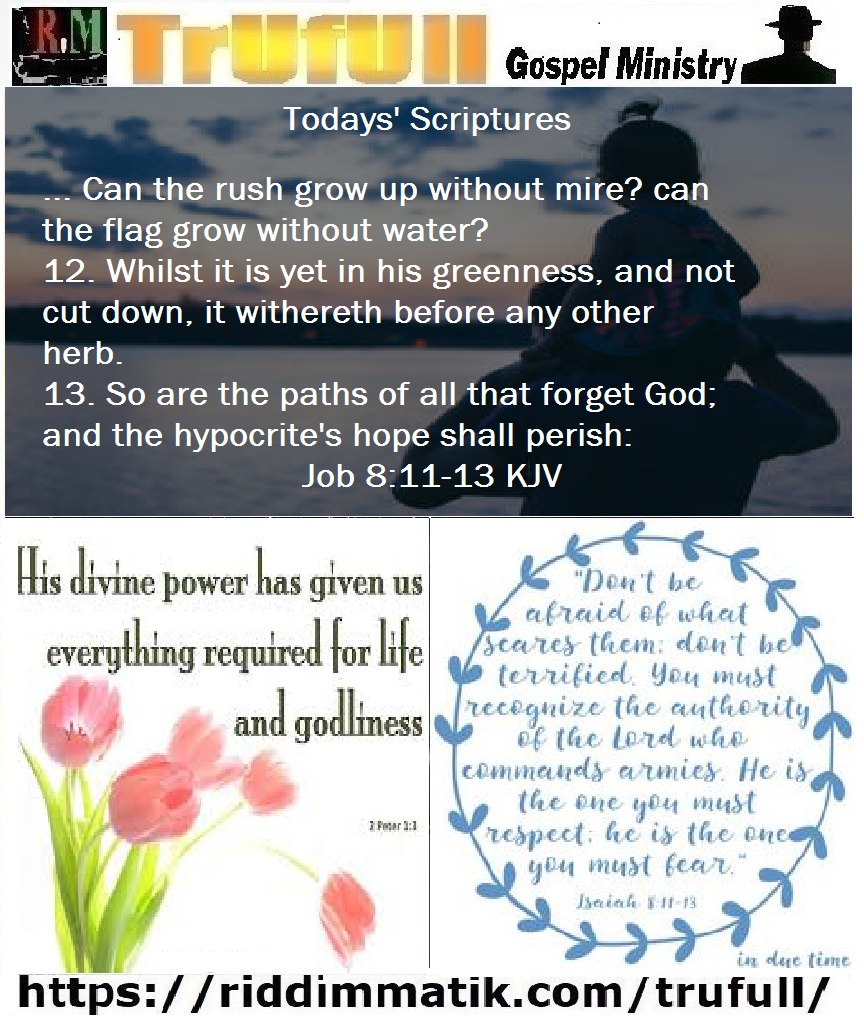 Mondays’ – Job 8:11-13 KJV