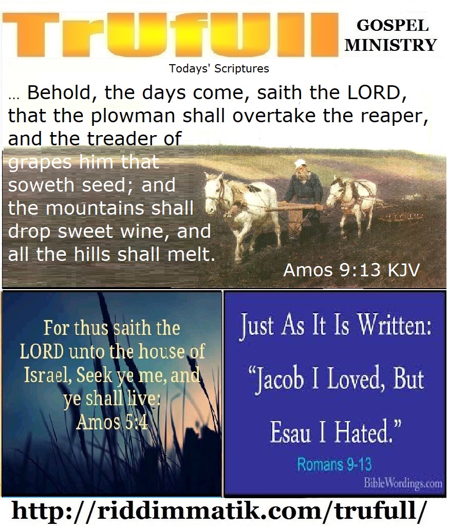 Wednesdays’ – Amos 9-13 KJV