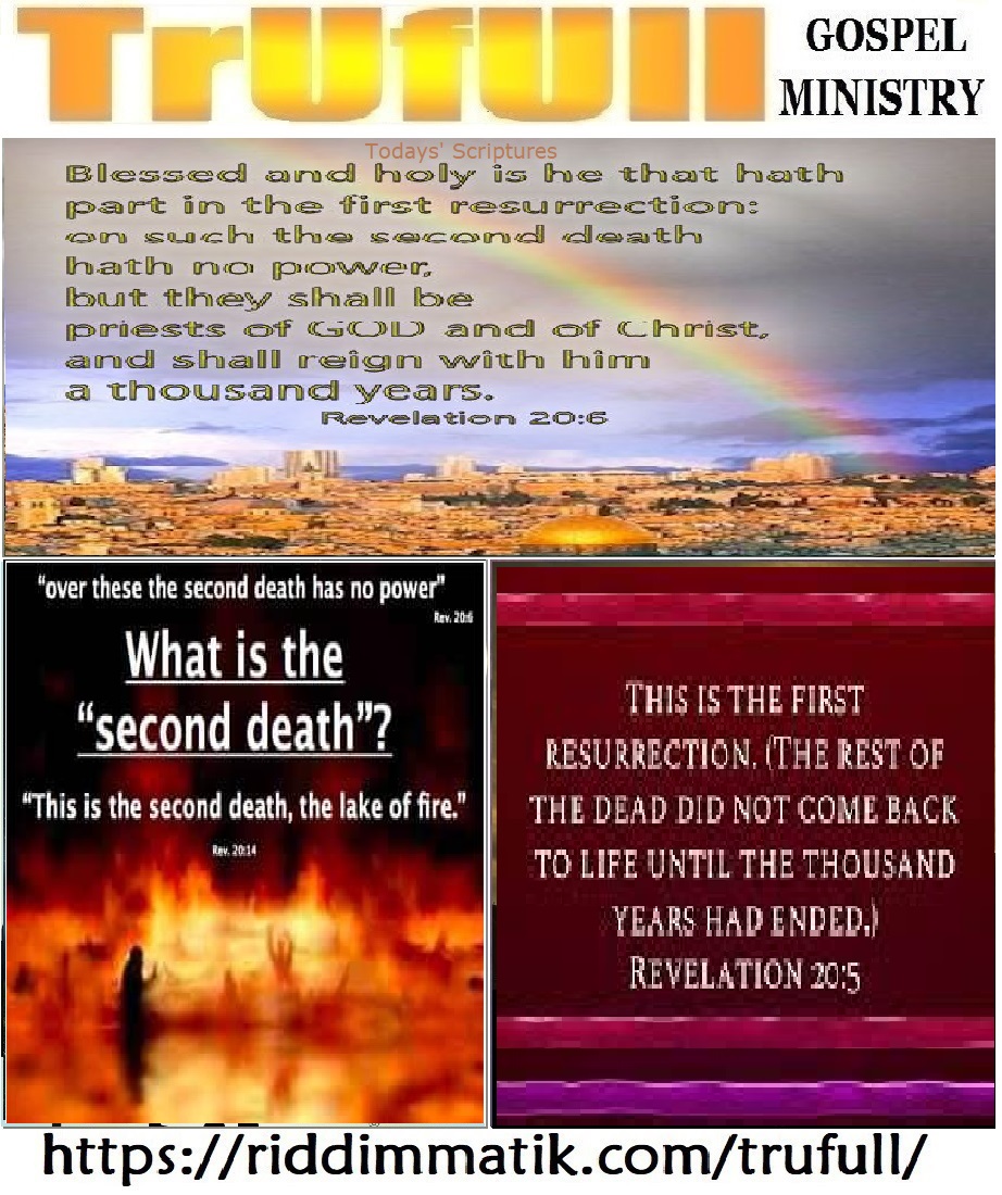 Thursdays’ – Revelation 20_6 KJV