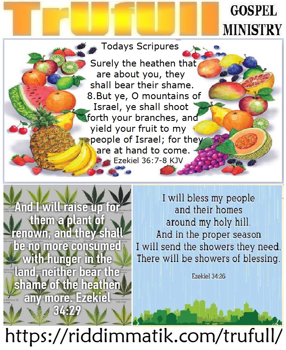 Thursdays’ – Ezekiel 36_7-8 KJV